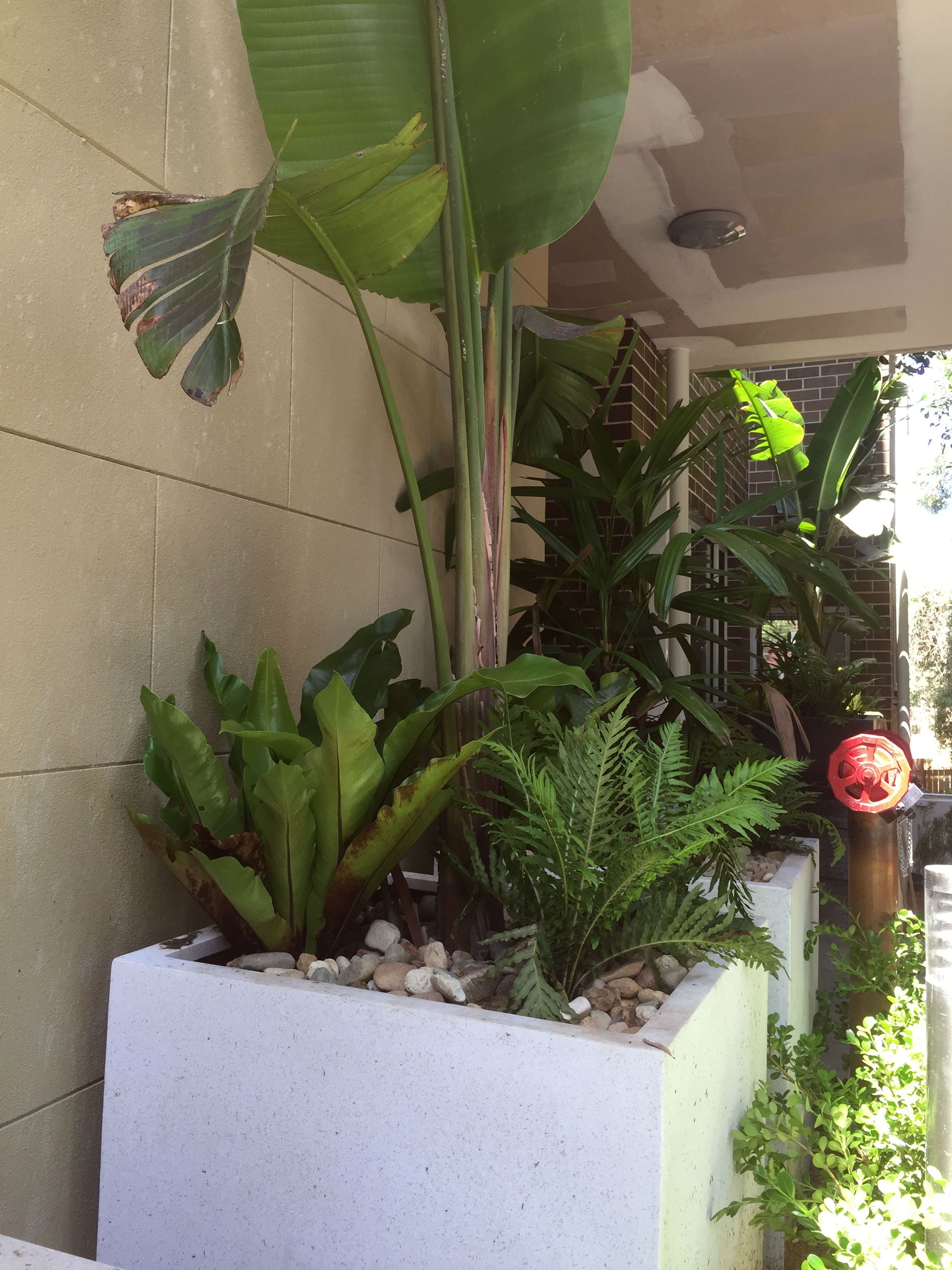 Residential Unit Blocks Image -564a27bcdf70b